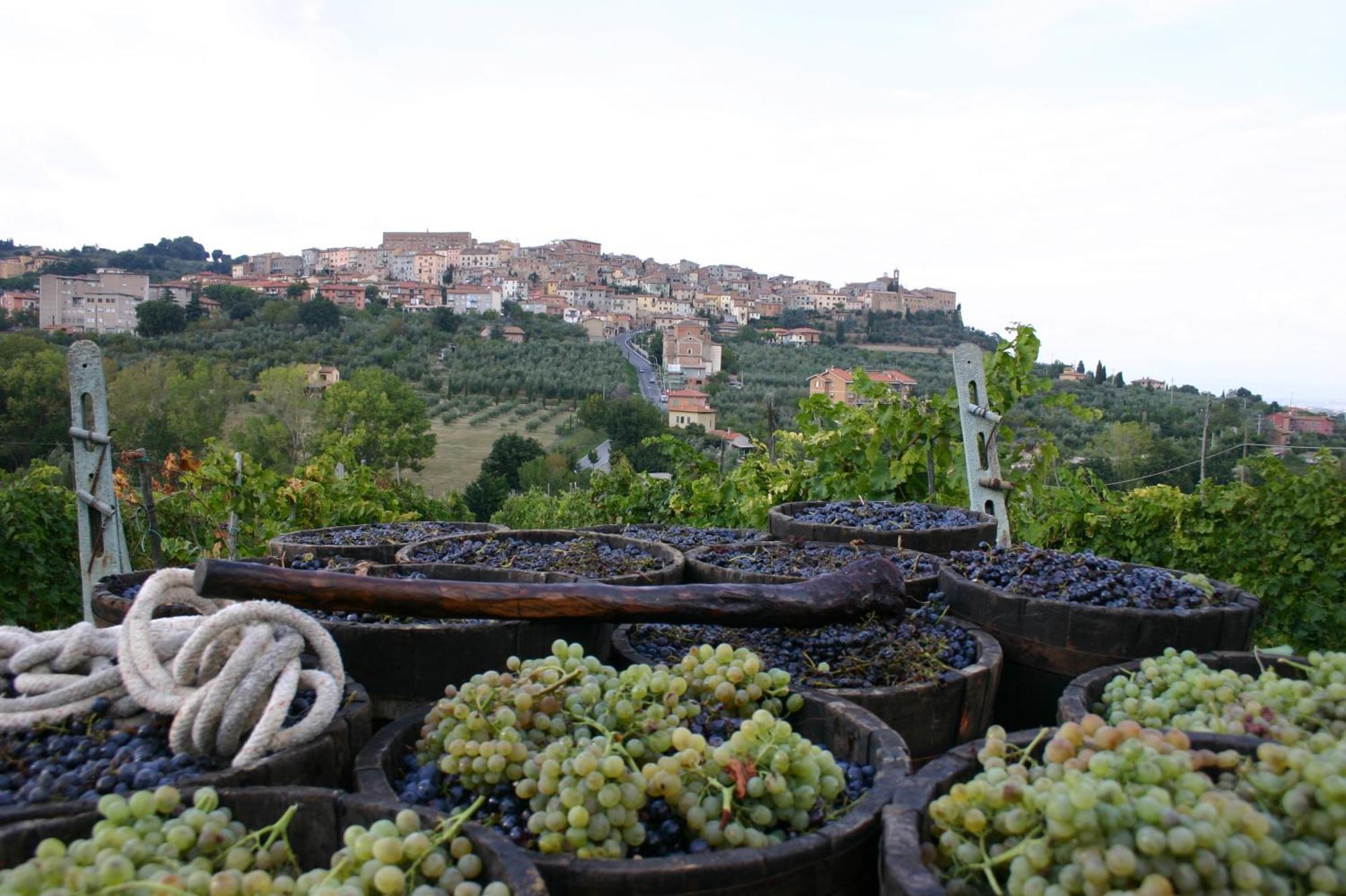 קיאנצ'נו טרמה Agriturismo La Pietriccia מראה חיצוני תמונה