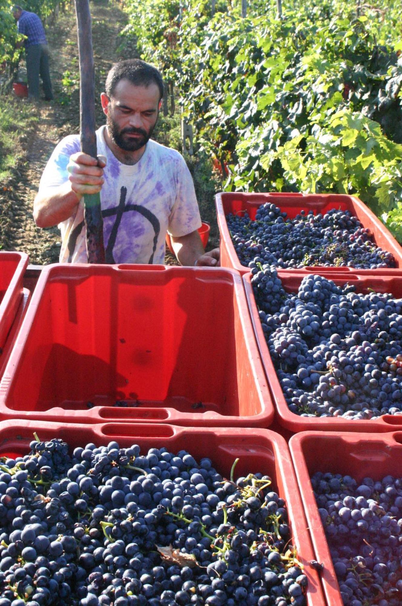 קיאנצ'נו טרמה Agriturismo La Pietriccia מראה חיצוני תמונה