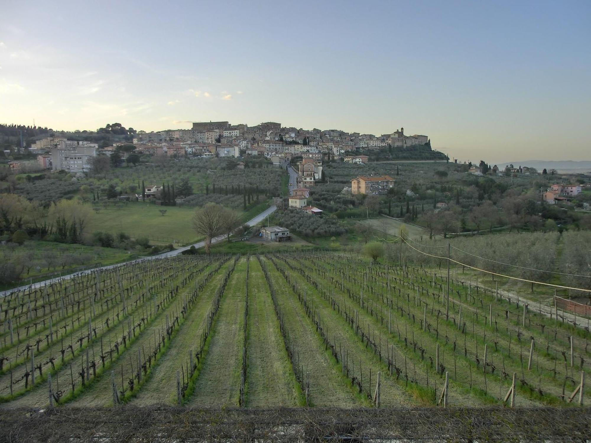 קיאנצ'נו טרמה Agriturismo La Pietriccia מראה חיצוני תמונה